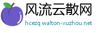 风流云散网